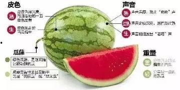 武都网红 吃瓜群微信